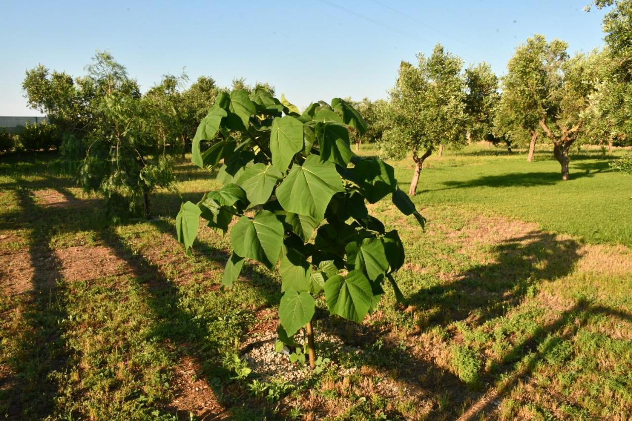 Tenuta Corano Nardò Exteriér fotografie