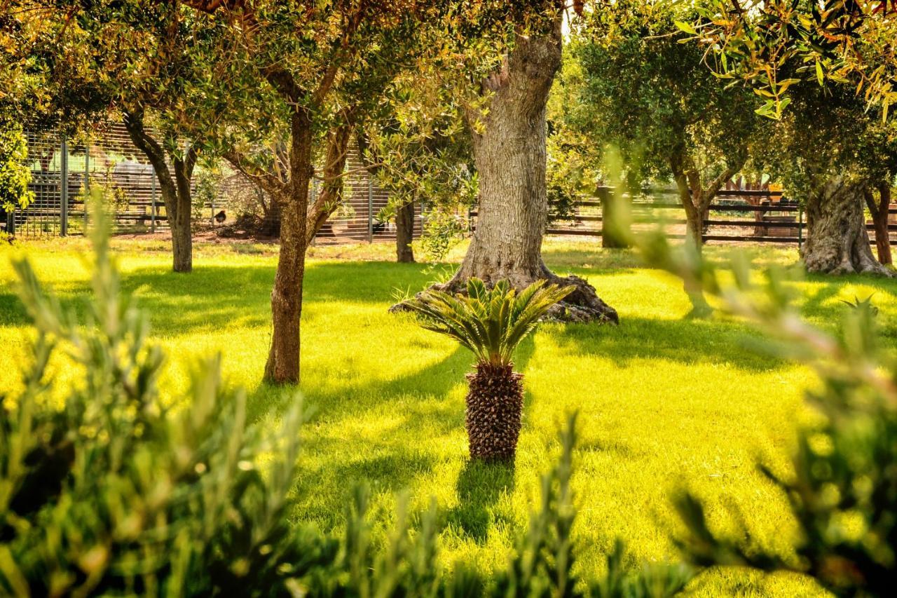 Tenuta Corano Nardò Exteriér fotografie